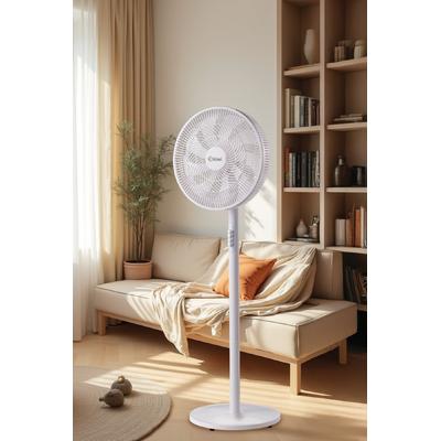 Kiwi Kfan-7627 Salınım Fonksiyonlu Ultra Sessiz Stand Vantilatör 9 Kanatlı 50W
