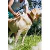 İronika Tuşlu Otomatik Temizlenen Kedi Köpek Tüy Toplayıcı Tarak Evcil Hayvan Fırçası Tarağı