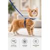 Kiwi Kpcl-10320C Kedi Göğüs Tasması ve Gezdirme Seti