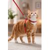 Kiwi Kpcl-10320C Kedi Göğüs Tasması ve Gezdirme Seti